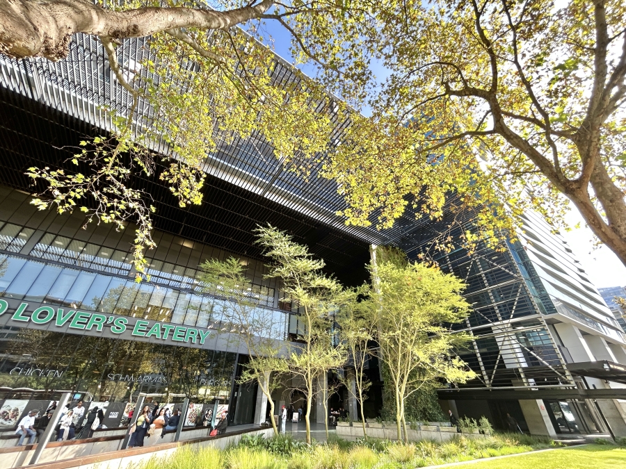 To Let Commercial Property for Rent in Cape Town City Centre Western Cape